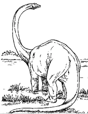 Brachiosaurus Ausmalbild