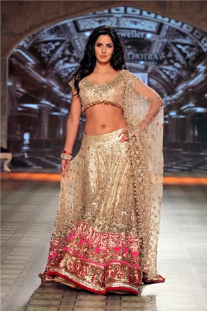 Bollywood Actress Saree Collections: Replica Saree