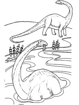 diplodocus coloring page coloriage collants