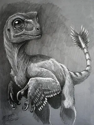 220 Best Dinosaur Drawing ideas in 2023 | dinosaur drawing, dinosaur,  dinosaur art