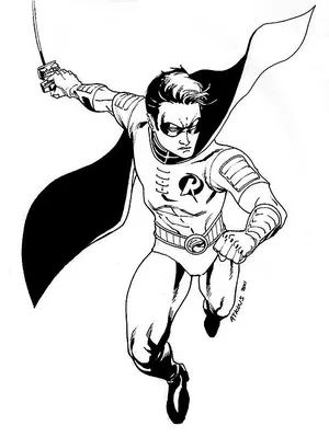 Robin Drawings DC