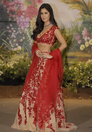 Katrina Kaif Banglori Silk Net Party Wear Lehenga Choli In Off W |  lupon.gov.ph