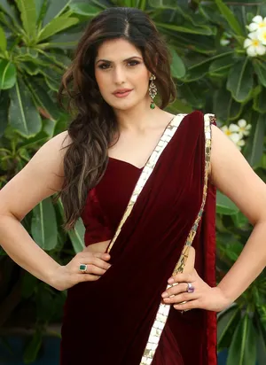 Zarine Khan Saree