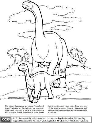 Coloring Page Of A Dinosaur Coloring Pages Background Spinosaurus Coloring  Picture Background Image And Wallpaper for Free Download