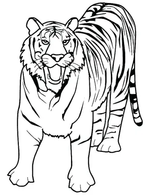 Mother tiger and baby tiger cub coloring page | Download Free Mother tiger  and baby tiger cub coloring page for kids | Best Coloring Pages